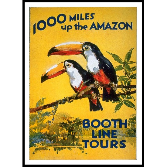 1000 Miles Up The Amazon, A New Print Of A Vintage Trade Card