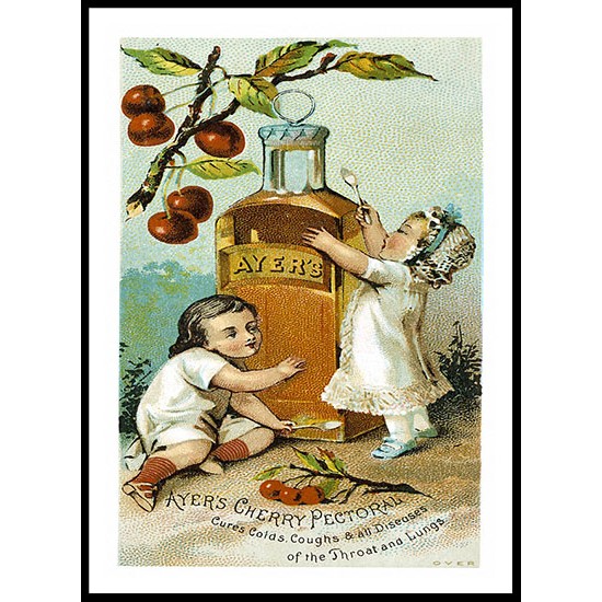 Ayers Cherry, A New Print Of A Vintage Trade Card