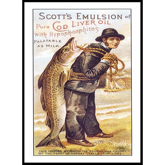 Cod Liver Oil, A New Print Of A Vintage Trade Card