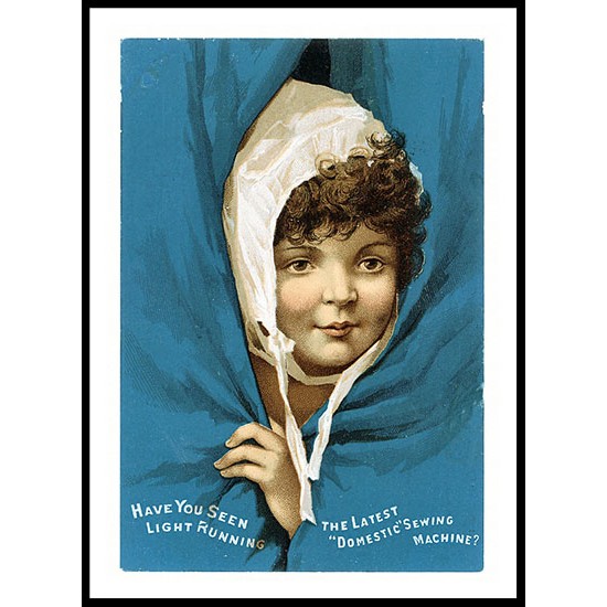 Domestic - 2, A New Print Of A Vintage Trade Card