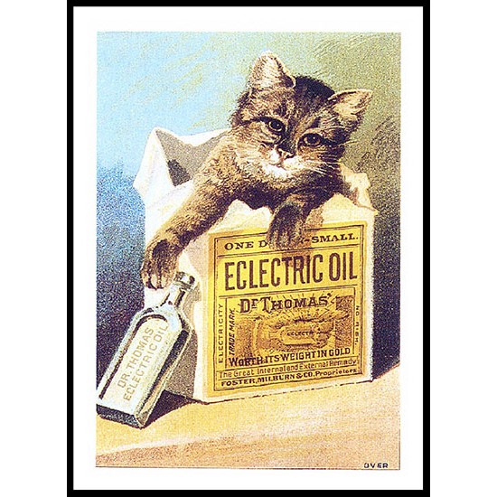 Dr Thomas, A New Print Of A Vintage Trade Card