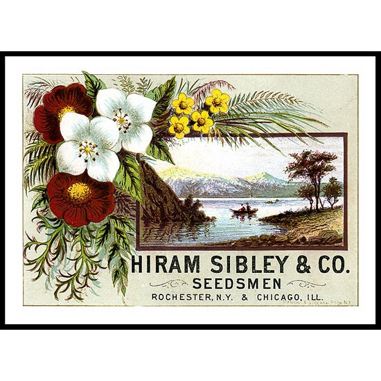 Hiram, A New Print Of A Vintage Trade Card