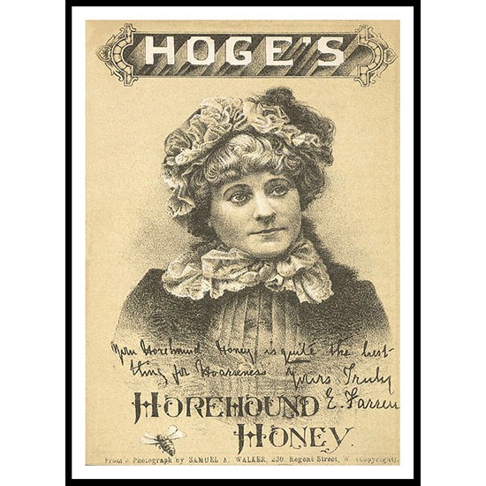 Hoges 1879, A New Print Of A Vintage Trade Card