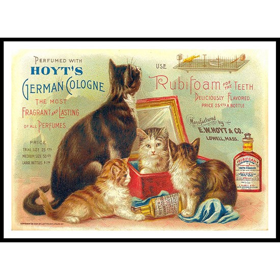 Hoyt's Perfume  - 3, A New Print Of A Vintage Trade Card