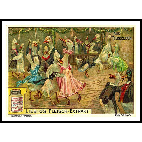 Liebig - 11, A New Print Of A Vintage Trade Card