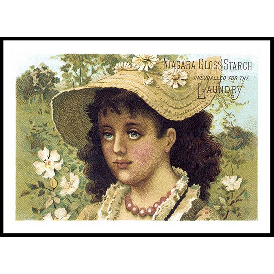 Niagara Gloss, A New Print Of A Vintage Trade Card