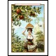 Oranges, A New Print Of A Vintage Trade Card