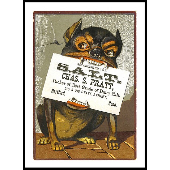 Salt, A New Print Of A Vintage Trade Card