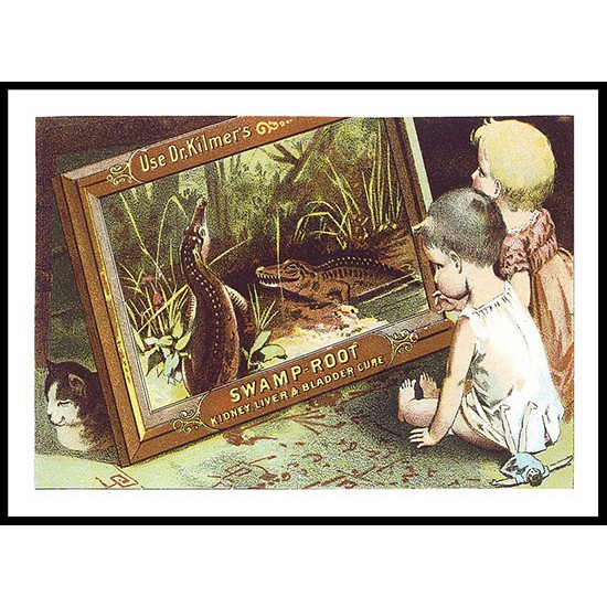 Swamproot, A New Print Of A Vintage Trade Card