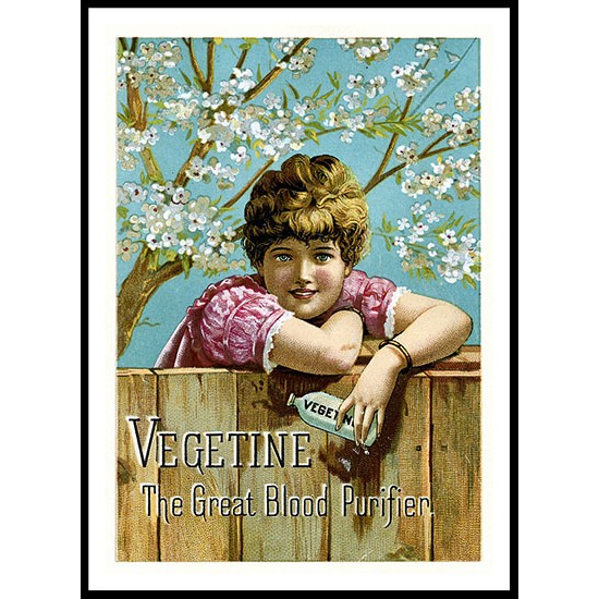 Vegetine, A New Print Of A Vintage Trade Card