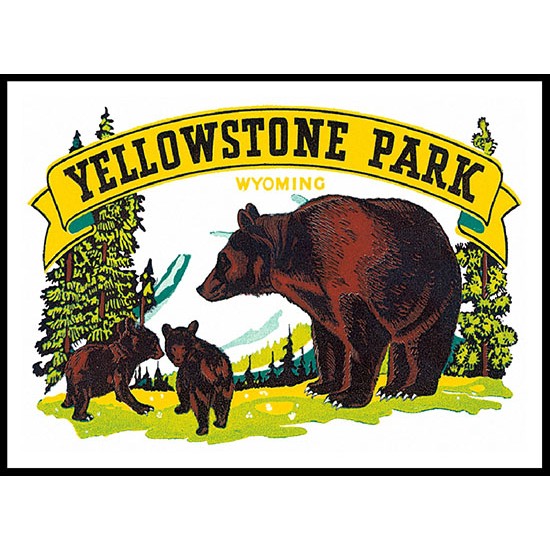 Yellowstone, A New Print Of A Vintage Transport Picture
