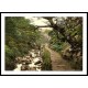 Cennant Mawr The Glen Llanberis, A New Print Of A Vintage Wales Photochrom