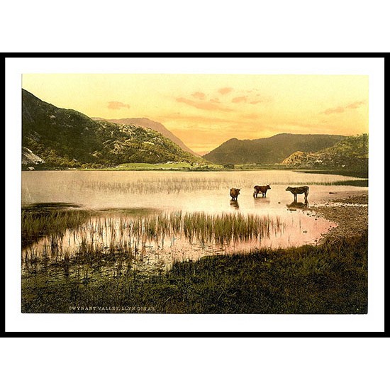 Llyn Dinas Gwynant Valley, A New Print Of A Vintage Wales Photochrom